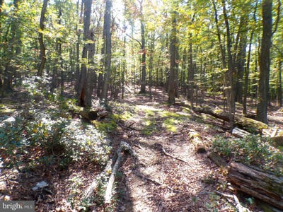/international/us/big-horn-trail-augusta-wv-110102357044/