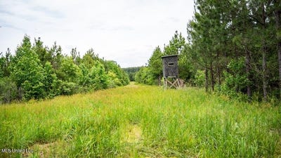 /international/us/7399-amon-hill-road-bastrop-la-110104194097/