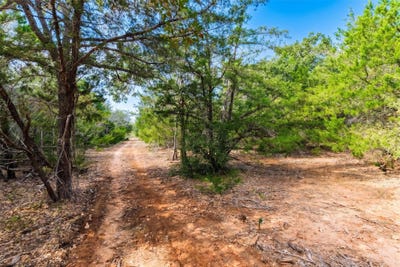 /international/us/12-acres-mt-pleasant-rd-cedar-creek-tx-110110280550/