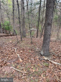 /international/us/411-northwood-circle-cross-junction-va-110096999378/?lang=zh-tw