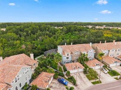 /international/us/1650-arabian-lane-palm-harbor-fl-110110101008/
