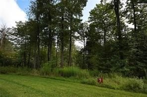 /international/us/lot-7-ptarmigan-seven-springs-resort-pa-110107746647/
