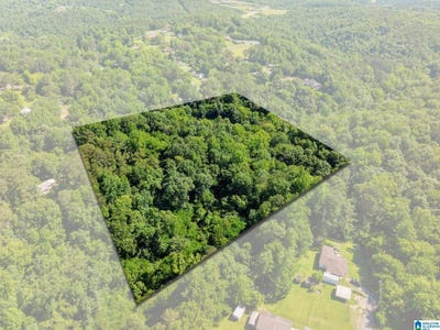 /international/us/399-12th-avenue-graysville-al-110101094679/