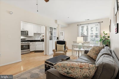 /international/us/257-14th-street-se-washington-dc-110108543711/