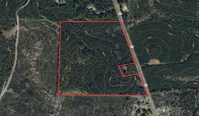 /international/us/000-state-route-505-dodson-la-110107686414/