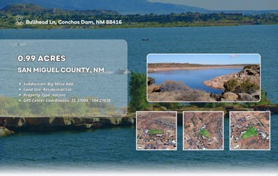 /international/us/bullhead-lane-conchas-dam-nm-110100628025/?lang=zh-cn