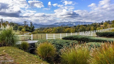 /international/us/634-old-cedar-creek-rd-townsend-tn-110107761254/