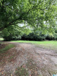 /international/us/50864-highway-22-wadley-al-110109165036/