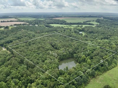 /international/us/22-acres-private-road-1702-daleville-al-110109722241/