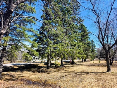 /international/us/3672-county-rd-92-e-ranier-mn-110106149261/