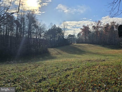 /international/us/729-celt-road-stanardsville-va-110107842341/