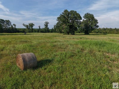/international/us/cr-1778-linden-tx-110120416187/