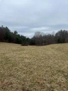/international/us/299-red-ford-rd-lot-114-meadows-of-dan-va-110108169562/