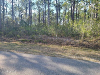 /international/us/lot-208-pepperhill-road-boiling-spring-lakes-nc-110098835807/?lang=zh-cn