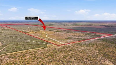 /international/us/817-county-road-119-alice-tx-110105735869/