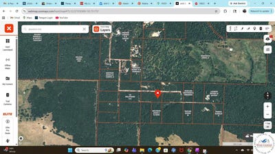 /international/us/homestead-trail-preston-mo-110107519323/