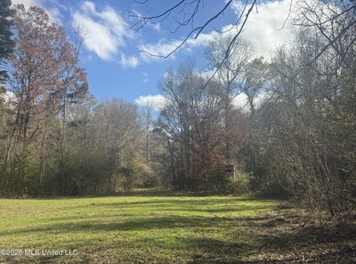 /international/us/mckenzie-road-tylertown-ms-110106961163/