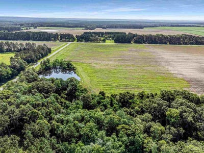 /international/us/tungoil-rd-lot-2-3-walnut-hill-fl-110108254750/