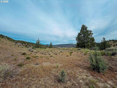 /international/us/luce-creek-rd-johnday-or-110107938826/