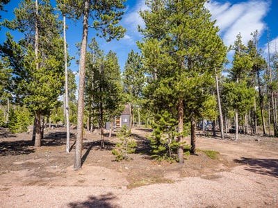 /international/us/297-manso-way-red-feather-lakes-co-110108208083/