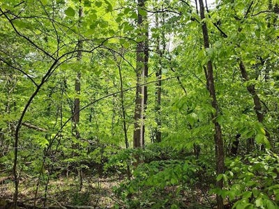 /international/us/markwell-road-hillsboro-ky-110107925599/