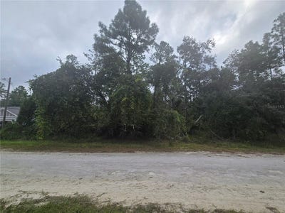 /international/us/english-sparrow-road-weeki-wachee-fl-110119964020/