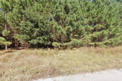 /international/us/442-pembroke-blvd-johnsonville-sc-110108876520/