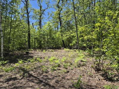 /international/us/l-187-188-primrose-trail-lot-187-188-gaylord-mi-110108469529/