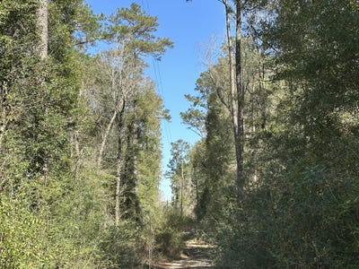 /international/us/lots-13-14-coon-bottom-est-ponce-de-leon-fl-110099240195/