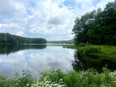 /international/us/597-bliven-coye-hill-rd-smyrna-ny-110107638289/