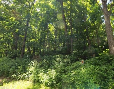 /international/us/270-timber-camp-drive-roseland-va-110108279536/