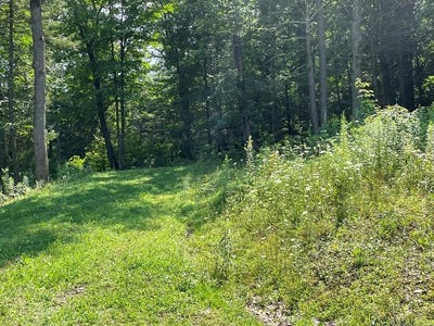 /international/us/hemlock-hills-rd-lot-43a-towanda-pa-110102852400/
