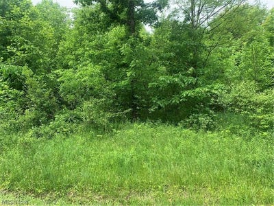 /international/us/pinney-topper-road-ashtabula-oh-110108231895/