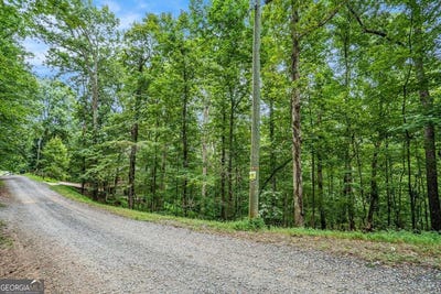 /international/us/lot-72-huron-ellijay-ga-110101392953/