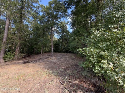 /international/us/21-hannah-drive-lot-21-chocowinity-nc-110120637614/