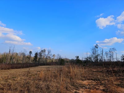 /international/us/00-hwy-35-collins-ms-110105735442/