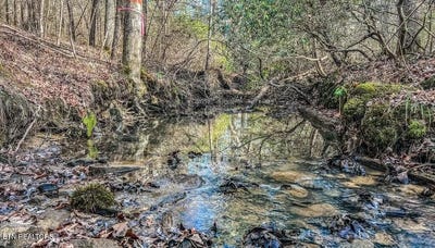 /international/us/nashville-ave-deer-lodge-tn-110096244610/