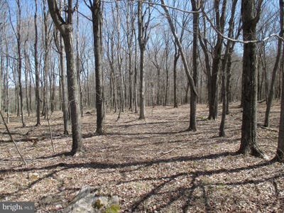 /international/us/mt-lakeside-sub-divide-meadows-mount-storm-wv-110076209559/