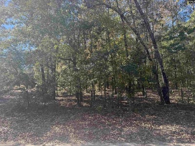 /international/us/tbd-possum-trail-lot-2-bamberg-sc-110101499514/