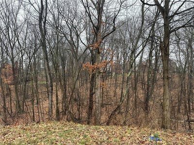 /international/us/woodhaven-drive-lot-1-sarver-pa-110106314667/