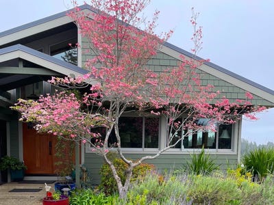 /international/us/1584-tindall-ranch-rd-corralitos-ca-110104787230/