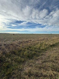 /international/us/n-pioneer-rd-chugwater-wy-110110216822/