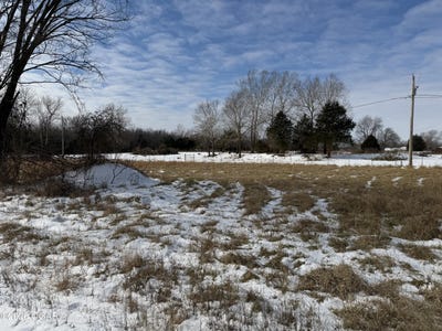 /international/us/3-87-acres-county-lane-228-oronogo-mo-110105255486/