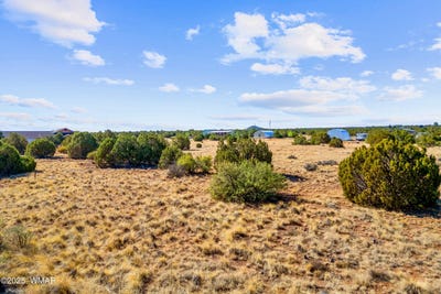 /international/us/8487-alpine-place-show-low-az-110101039063/?lang=en
