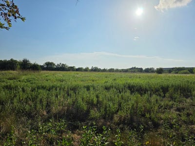 /international/us/n-grayson-street-groesbeck-tx-110102047570/