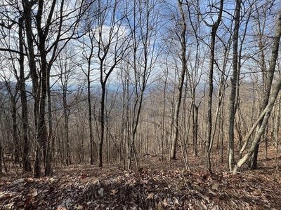/international/us/24-26-butterfly-path-lot-24-26-bryson-city-nc-110106758096/