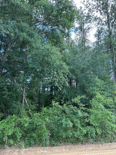 /international/us/crestview-dr-lot-38-abbeville-ga-110104013674/