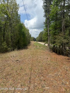 /international/us/347-e-old-highway-49-hattiesburg-ms-110106725382/