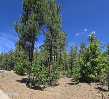 /international/us/1412-big-springs-trail-lakeside-az-110108179287/