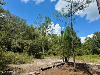/international/us/nettles-road-florahome-fl-110102474090/